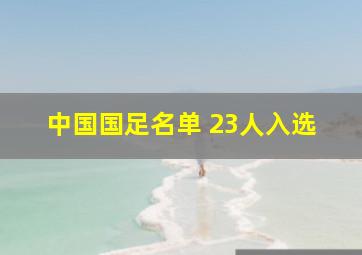 中国国足名单 23人入选